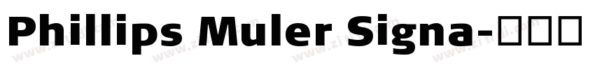 Phillips Muler Signa字体转换
